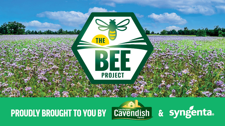 The Bee Project Sign Banner in English