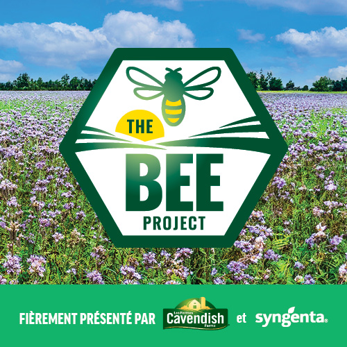 Syngenta et les Fermes Cavendish créent des habitats pour les pollinisateurs.